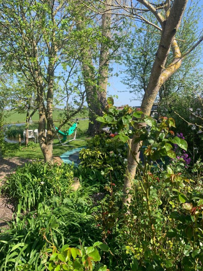Very Nice Cottage In Durgerdam, With Private Garden, Free Parking, Pets Allowed 阿姆斯特丹 外观 照片